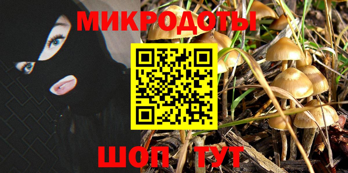 Псилоцибиновые грибы Cubensis  Вход с VPN  Гай 